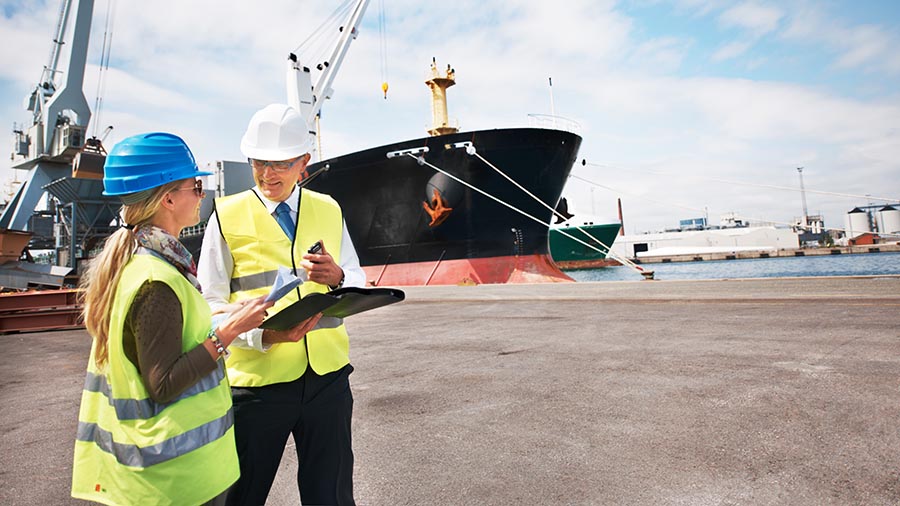 Annual Inspection and Certification Services for Global Shipping Clients